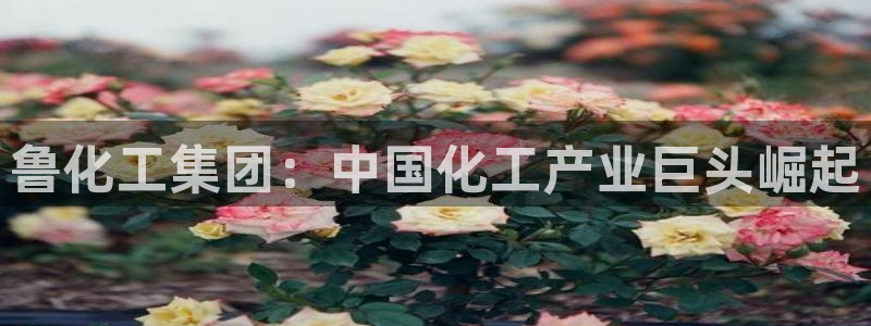 球盟会在线登入
