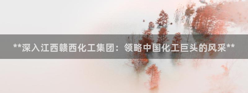 球盟会黑台子吗