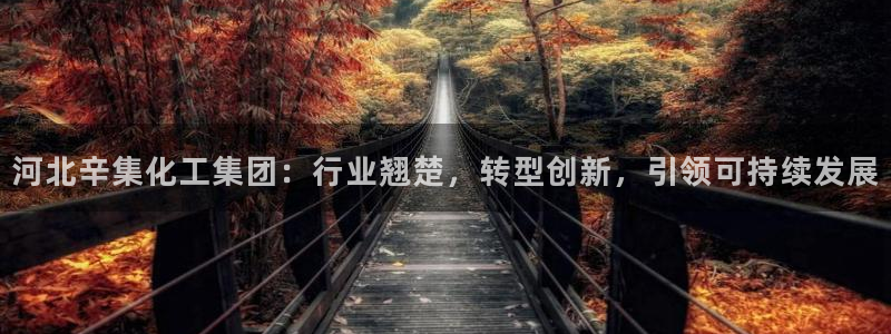 球盟会App：河北辛集化工集团：行业翘楚，转型创新，引领可持