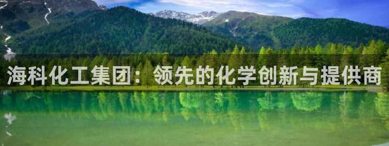 球盟会官方平台入口：海科化工集团：领先的化学创新与提供商