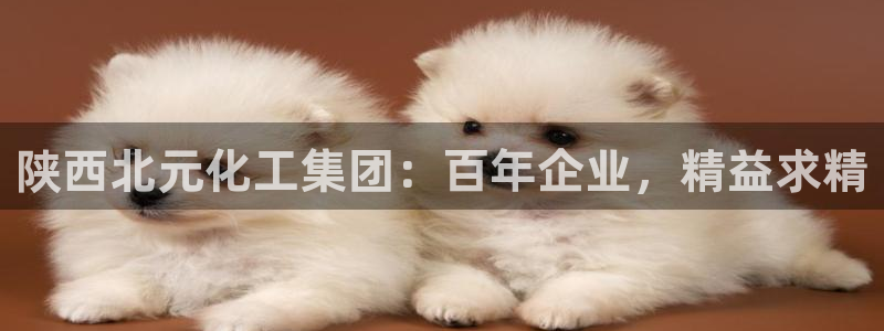球盟会有没有黑单的