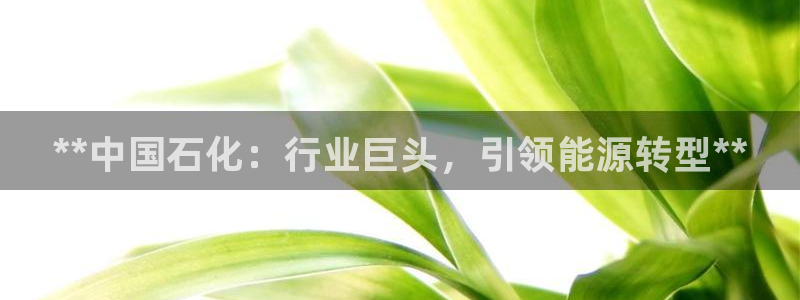 球盟会和中欧合作吗：**中国石化：行业巨头，引领能源转型**