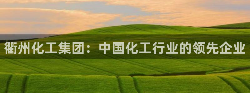 球盟会官方登录平台入口：衢州化工集团：中国化工行业的领先企业