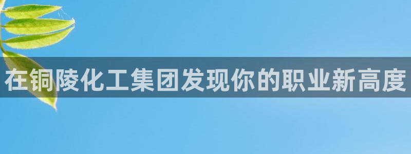 球盟会电子好下吗