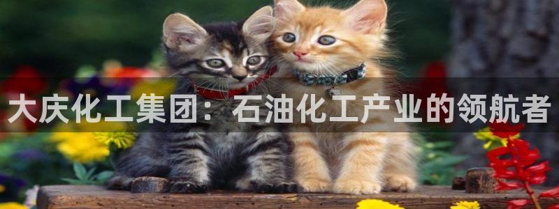 球盟会qmh官网