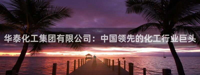 球盟会黑台：华泰化工集团有限公司：中国领先的化工行业巨头