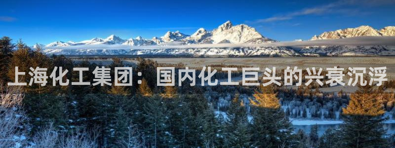 球盟会黑钱