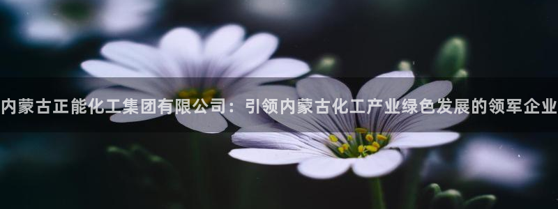 球盟会可靠不：内蒙古正能化工集团有限公司：引领内蒙古化工产业