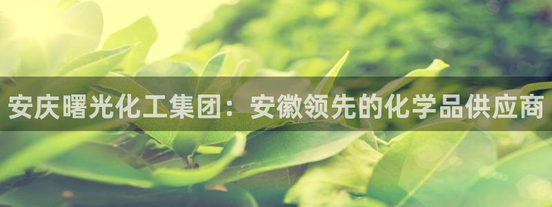 球盟会有没有黑单的球员：安庆曙光化工集团：安徽领先的化学品供