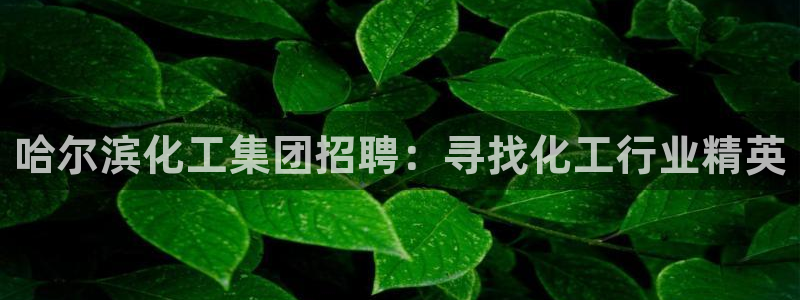 球盟会登录平台