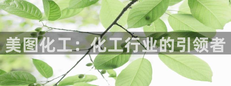 球盟会可以提现么现在