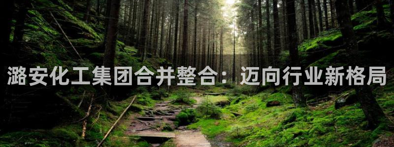 球盟会进不去吗