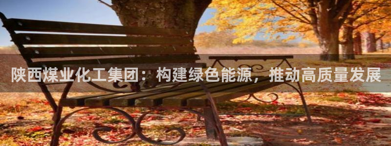 球盟会封禁：陕西煤业化工集团：构建绿色能源，推动高质量发展