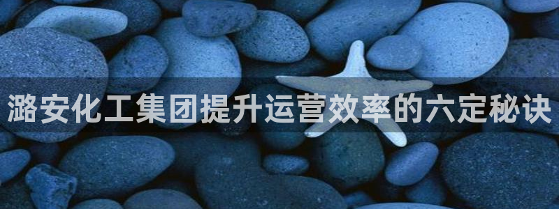 球盟会APP下载
