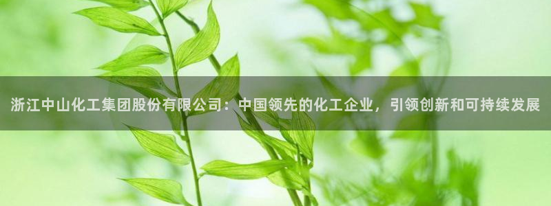 球盟会登录平台入口：浙江中山化工集团股份有限公司：中国领先的