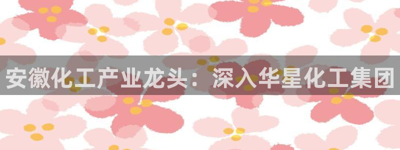 球盟会黑平台：安徽化工产业龙头：深入华星化工集团
