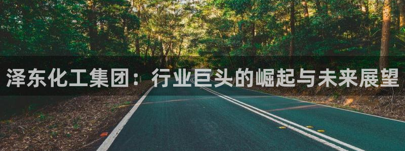球盟会吧