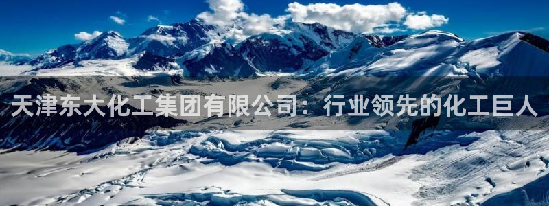 球盟会电子：天津东大化工集团有限公司：行业领先的化工巨人