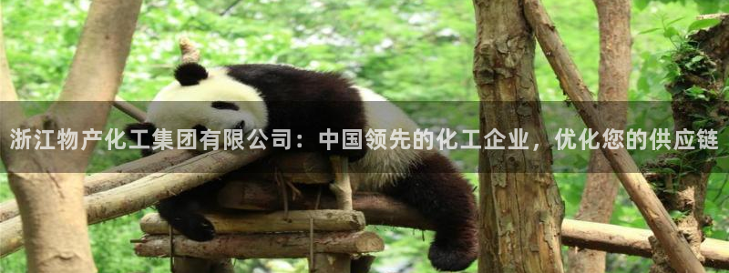 球盟会qmh网页版登录：浙江物产化工集团有限公司：中国领先的