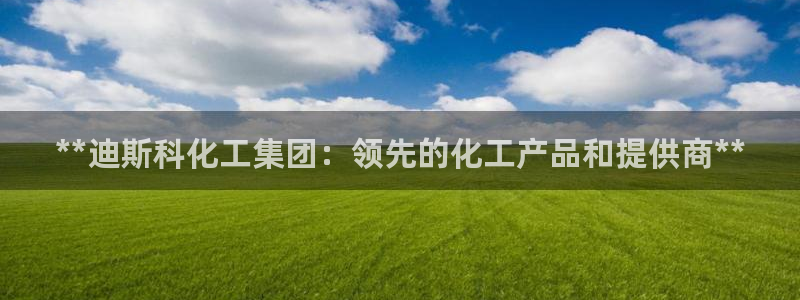 球盟会qm：**迪斯科化工集团：领先的化工产品和提供商**