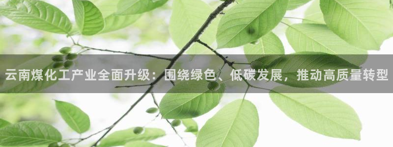 球盟会官网网页版：云南煤化工产业全面升级：围绕绿色、低碳发展