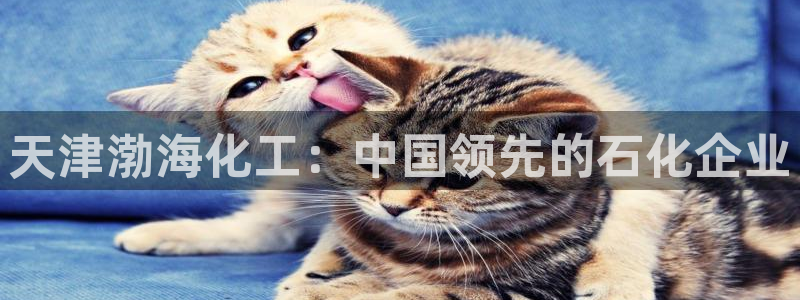 球盟会能退钱吗知乎：天津渤海化工：中国领先的石化企业
