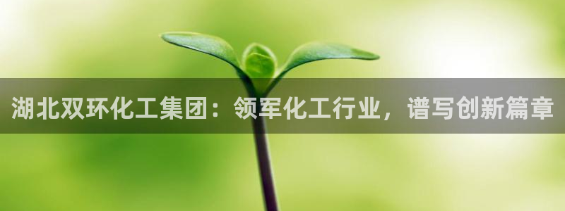 球盟会可以提现么是真的吗