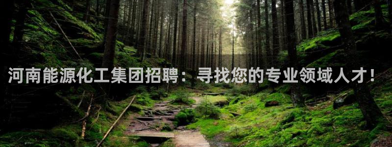 球盟会APP官网：河南能源化工集团招聘：寻找您的专业领域人才