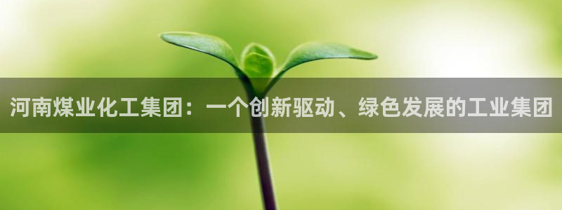 球盟会里面有打牌的嘛知乎：河南煤业化工集团：一个创新驱动、绿
