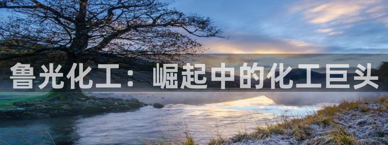 球盟会网址多少