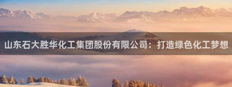 球盟会官方网址入口：山东石大胜华化工集团股份有限公司：打造绿