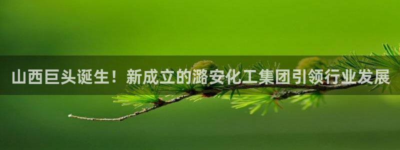 球盟会黑台子吗