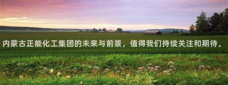 球盟会电子游戏平台：内蒙古正能化工集团的未来与前景，值得我们