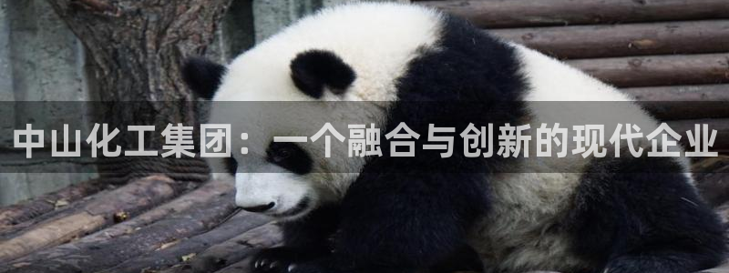球盟会网页登录app下载地址：中山化工集团：一个融合与创新的