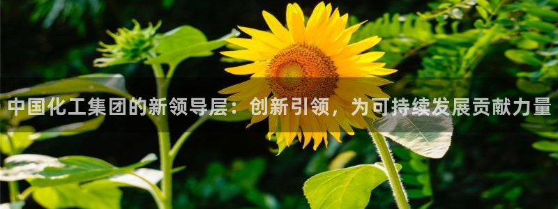 球盟会qmh官网：中国化工集团的新领导层：创新引领，为可持续