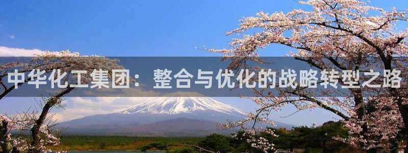 球盟会官方登录平台入口：中华化工集团：整合与优化的战略转型之