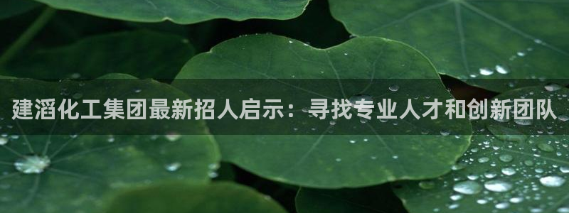 球盟会能提现吗：建滔化工集团最新招人启示：寻找专业人才和创新