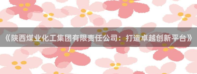 球盟会电子：《陕西煤业化工集团有限责任公司：打造卓越创新平台