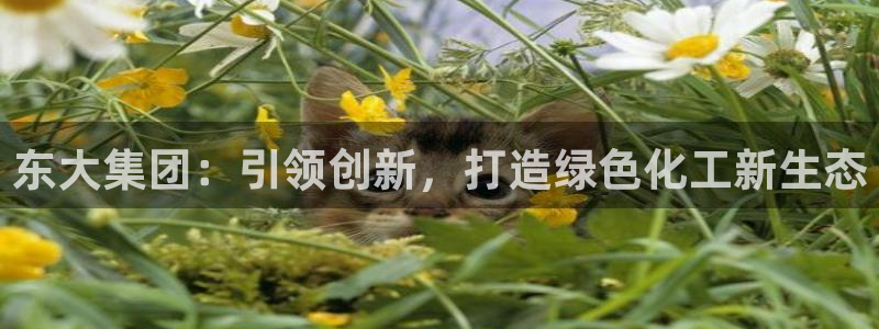 球盟会有没有黑单的人：东大集团：引领创新，打造绿色化工新生态