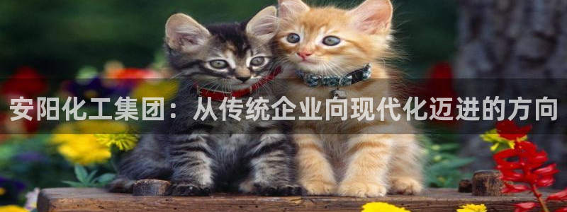 球盟会头号玩家：安阳化工集团：从传统企业向现代化迈进的方向