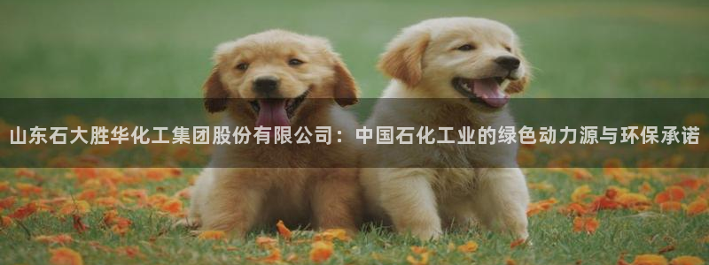 球盟会黑款吗知乎：山东石大胜华化工集团股份有限公司：中国石化