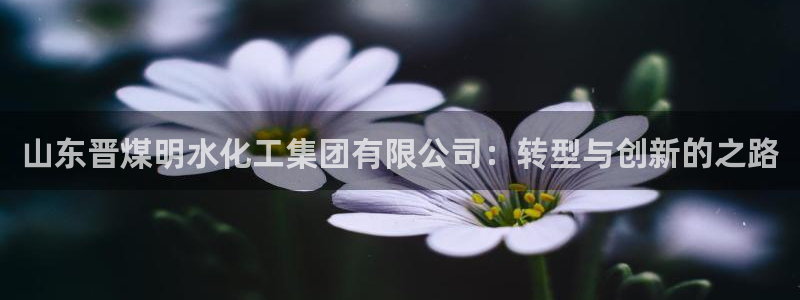 球盟会官方登录平台入口：山东晋煤明水化工集团有限公司：转型与
