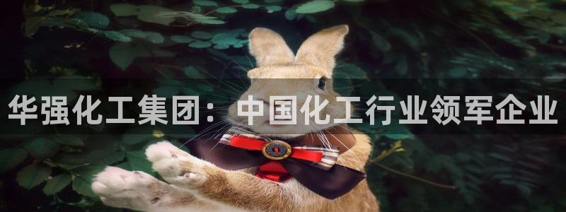 球盟会官方登录平台入口：华强化工集团：中国化工行业领军企业