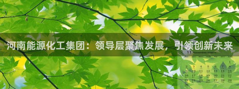 球盟会唯一：河南能源化工集团：领导层聚焦发展，引领创新未来