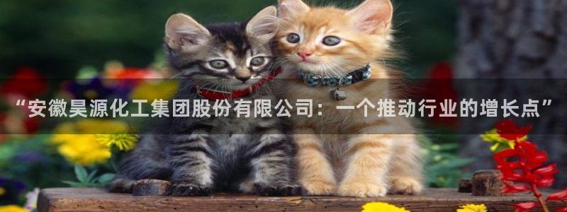 球盟会APP下载