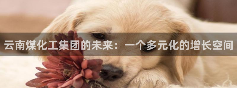 球盟会国际官网：云南煤化工集团的未来：一个多元化的增长空间