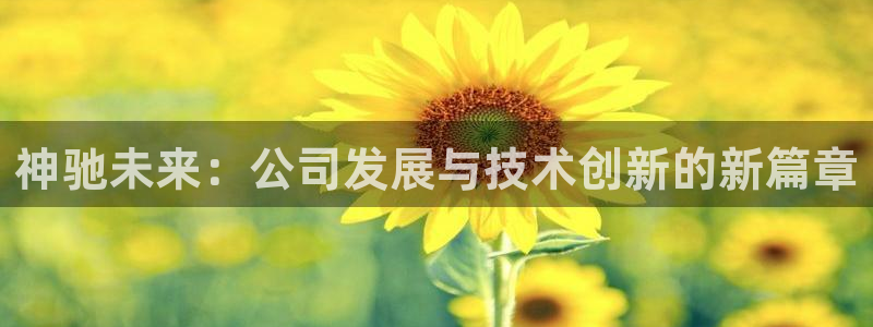 球盟会唯一：神驰未来：公司发展与技术创新的新篇章