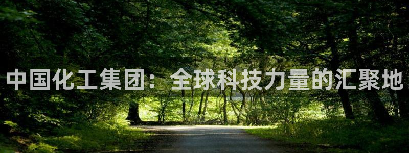 球盟会APP官网：中国化工集团：全球科技力量的汇聚地