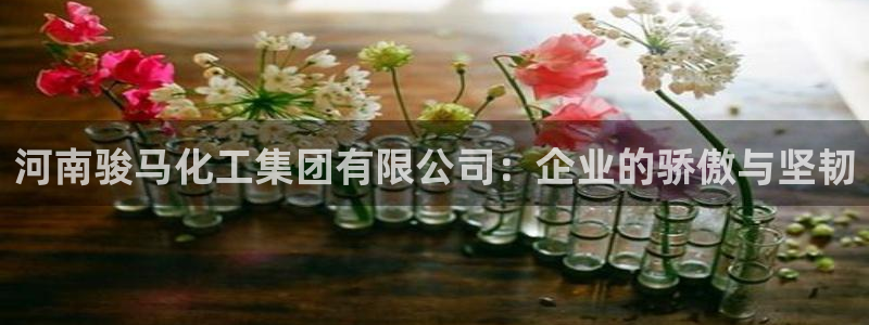 球盟会邮箱：河南骏马化工集团有限公司：企业的骄傲与坚韧