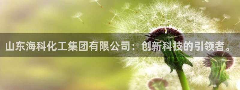 球盟会进不去吗：山东海科化工集团有限公司：创新科技的引领者。
